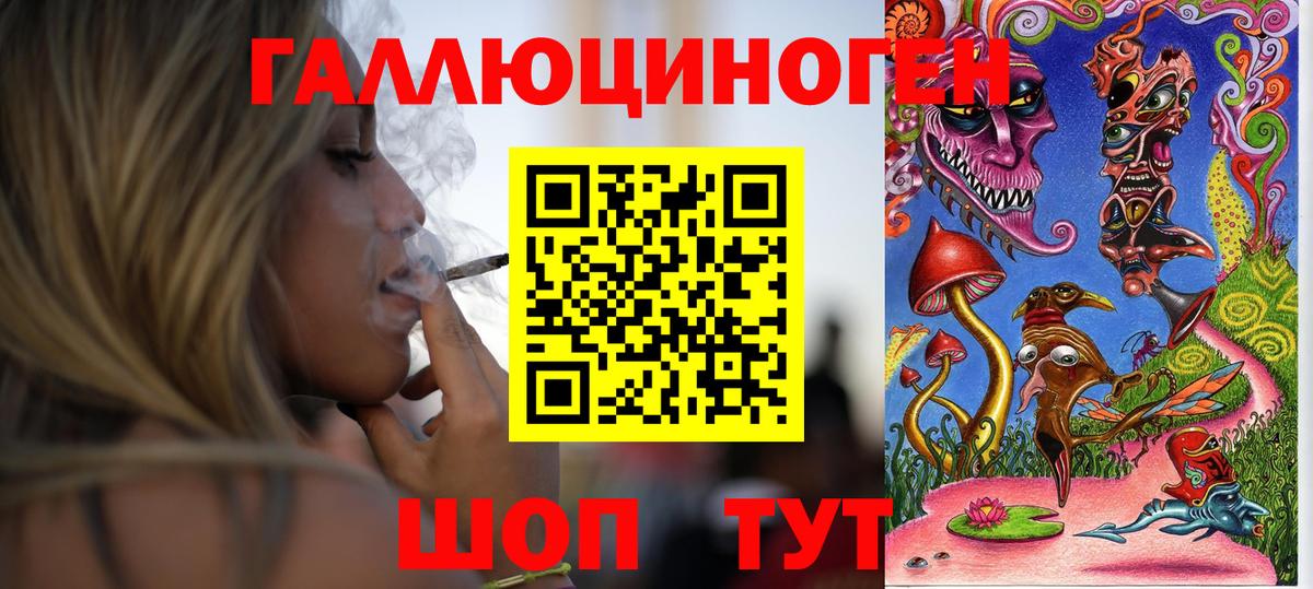 Галлюциногенные грибы Psilocybine cubensis Заинск