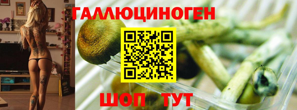 Заинск  Галлюциногенные грибы Psilocybe  купить   Вход с VPN 